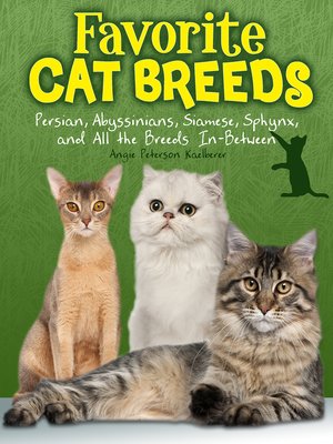 cover image of Favourite Cat Breeds